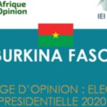 Résultats du sondage Afrique Opinion et IEI Europa