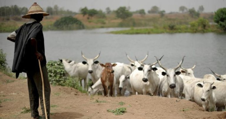 11 morts dans les affrontements au Tchad entre éleveurs et agriculteurs