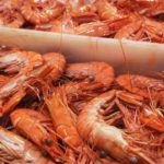 pêche à la crevette au Madagascar