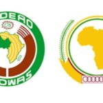 Mali : déliquescence des institutions africaines affichée dans la gestion de la crise