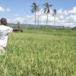 3ème Conférence régionale ALIN : les droits fonciers au cœur des préoccupations