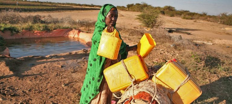 Changements climatiques en Afrique : « Une question de vie ou de mort interpelle » Lee White