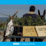 Transition écologique en Tunisie : l’agroforesterie au centre des écosystèmes agricoles