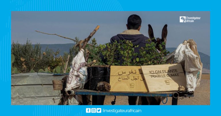 Transition écologique en Tunisie : l’agroforesterie au centre des écosystèmes agricoles