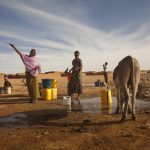Santé-Environnement : Préoccupations grandissantes concernant la qualité de l'eau au Nord du Niger