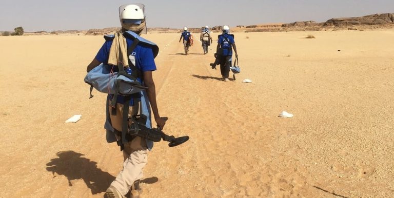 Déminage à N’djamena : Une course contre la montre pour sécuriser la capitale