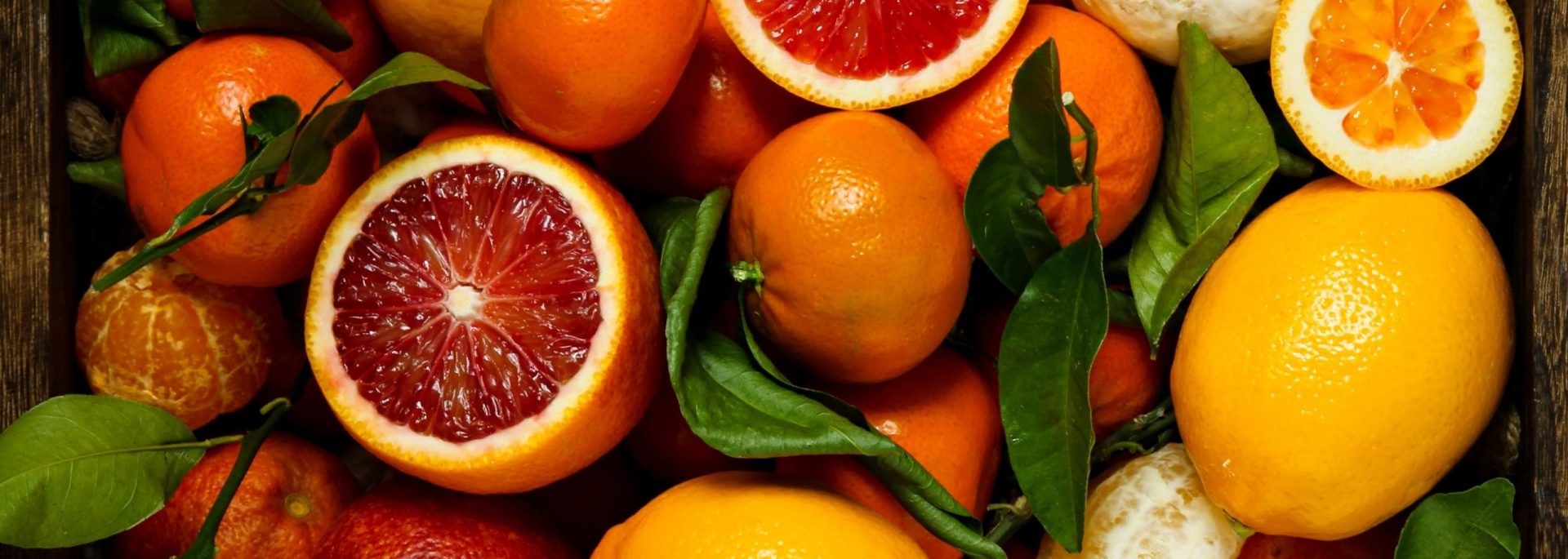 L'Afrique du Sud en tête du marché mondial des agrumes : quels enjeux pour le continent ?