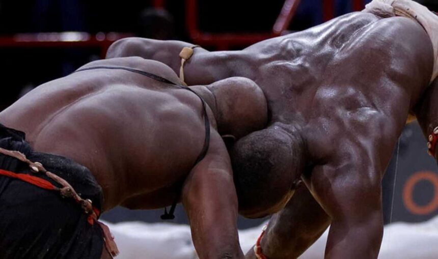 combats de lutte au Sénégal : ce sport reprend vie