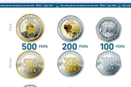 BEAC : ces nouvelles pièces qui pourraient faire flamber les prix !