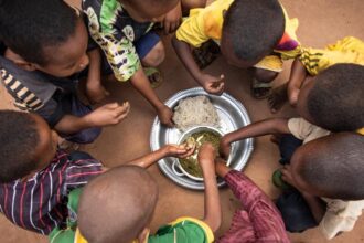 Afrique : la faim recule dans les chiffres, mais pas dans les estomacs