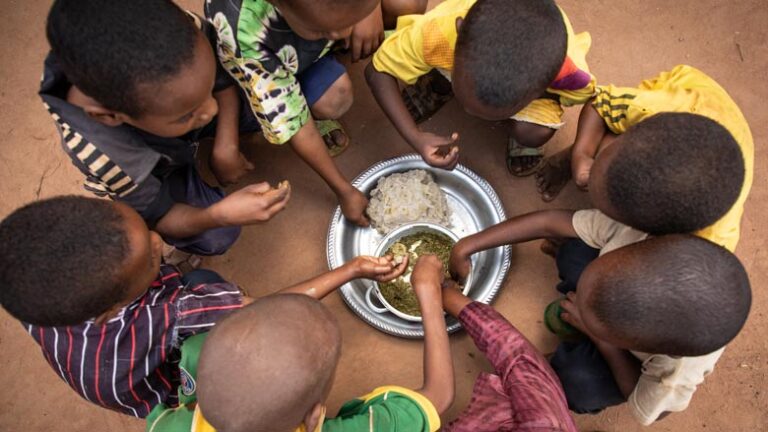 Afrique : la faim recule dans les chiffres, mais pas dans les estomacs