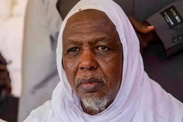 Mali : la coalition de Dicko peut-elle vraiment changer la donne ?