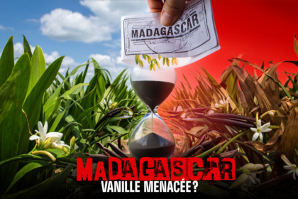 Madagascar : la filière vanille secouée par des réformes jugées précipitées