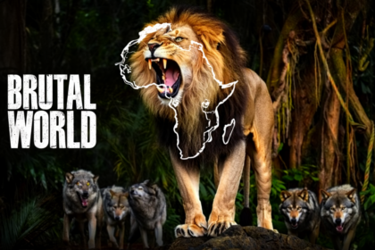 Afrique et fin du multilatéralisme : quelles armes face à un monde redevenu brutal ?