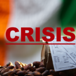 Crise des impayés : la filière cacao ivoirienne sous tension