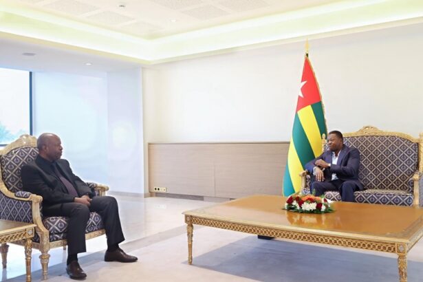 Diplomatie : Le Togo s’impose comme le pivot incontournable de la stabilité au Sahel
