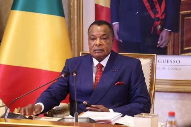 Intégration : Le Congo annonce la suppression des visas pour tous les ressortissants africains dès janvier 2027
