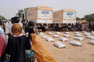 2,9 millions de menacés : la bombe silencieuse de la faim au Cameroun