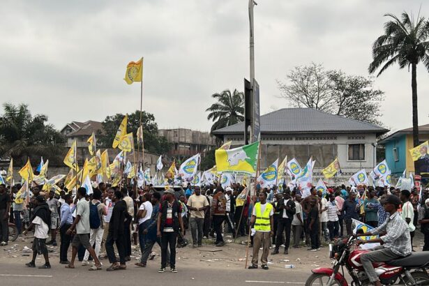 Contestation à Kinshasa : Ce que cache la violente manifestation liée à la nouvelle constitution en RDC