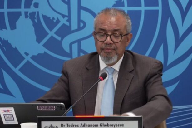 Face à Ebola, la science contre-attaque : l'OMS mise sur deux traitements prometteurs
