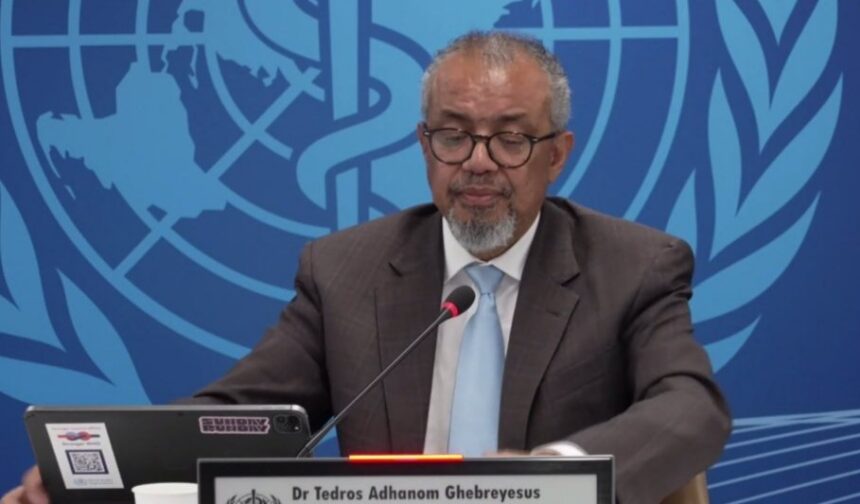 Face à Ebola, la science contre-attaque : l'OMS mise sur deux traitements prometteurs