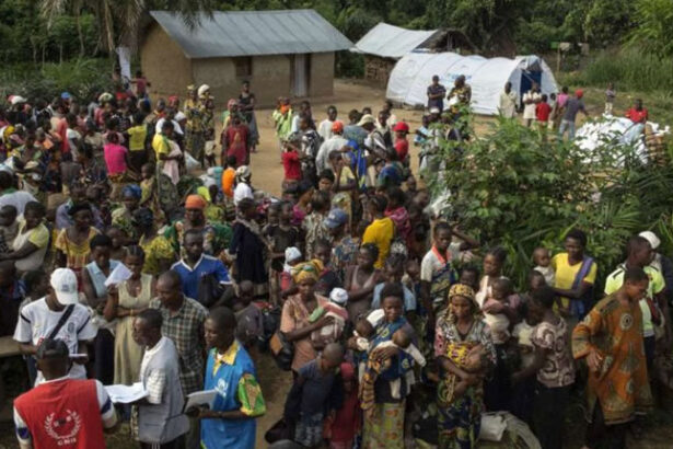 Rapatriement d'envergure : 10 000 à 20 000 réfugiés centrafricains s'apprêtent à quitter le Cameroun pour leur patrie