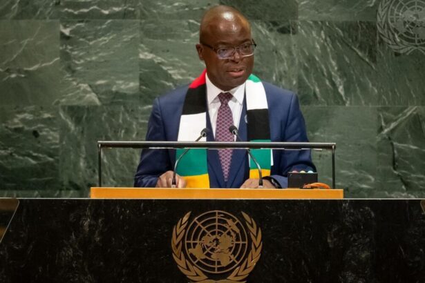 ONU : Sans opposition, le Zimbabwe décroche un siège stratégique au Conseil de sécurité pour 2027-2028