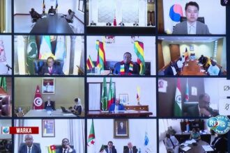 Crise sanitaire en Afrique de l’Est : L’Union africaine face au défi d’Ebola
