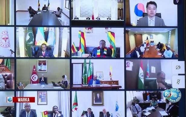 Crise sanitaire en Afrique de l’Est : L’Union africaine face au défi d’Ebola