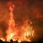 Vague d'incendies au Maghreb : Un bilan alarmant sous le feu des extrêmes climatiques