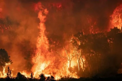 Vague d'incendies au Maghreb : Un bilan alarmant sous le feu des extrêmes climatiques