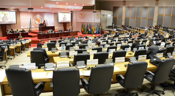 Violences xénophobes en Afrique du Sud : pourquoi le Parlement panafricain hausse le ton