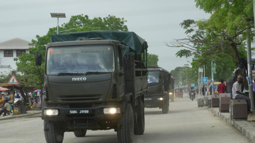 Tanzanie : le « Saba Saba », symbole d'une crise politique qui perdure