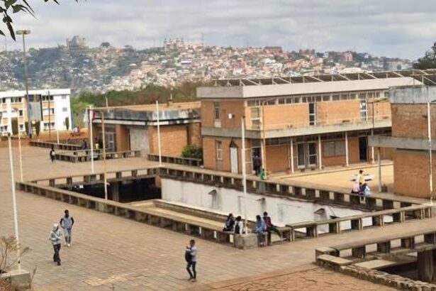 Faux diplômes en Afrique : quand la fraude menace la crédibilité des institutions