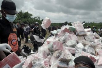Liberia : Saisies records de cocaïne et purge au sommet de l'État