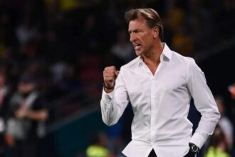 Hervé Renard de retour à la tête des Éléphants : le pari de l'expérience pour relancer la Côte d'Ivoire
