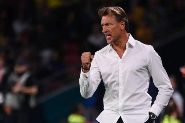 Hervé Renard de retour à la tête des Éléphants : le pari de l'expérience pour relancer la Côte d'Ivoire