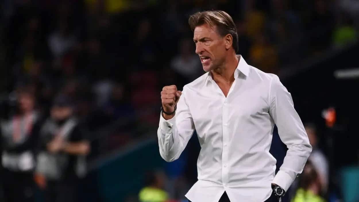 Hervé Renard de retour à la tête des Éléphants : le pari de l'expérience pour relancer la Côte d'Ivoire