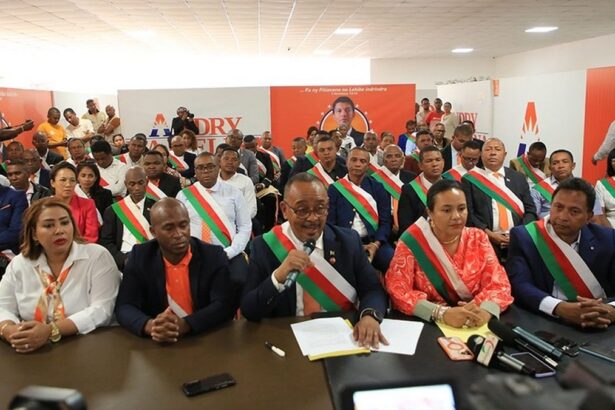 Majorité de fait à l'Assemblée malgache : union nationale ou opportunisme politique ?