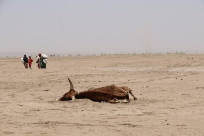 El Niño 2026 : pourquoi l’alerte de l’ONU concerne aussi l’Afrique