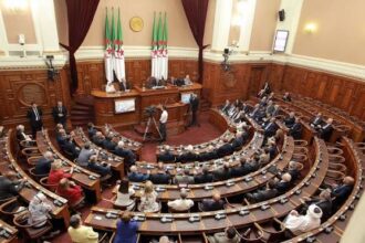 Le Parlement algérien a approuvé, dimanche, l'envoi de troupes au Niger