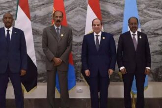 Éthiopie : quatre pays de la Corne de l’Afrique appellent à éviter l’escalade