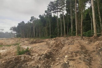 Ghana : le boom de l’or, une manne économique au prix d’une catastrophe écologique
