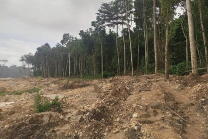 Ghana : le boom de l’or, une manne économique au prix d’une catastrophe écologique