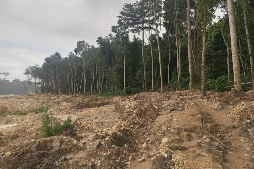 Ghana : le boom de l’or, une manne économique au prix d’une catastrophe écologique