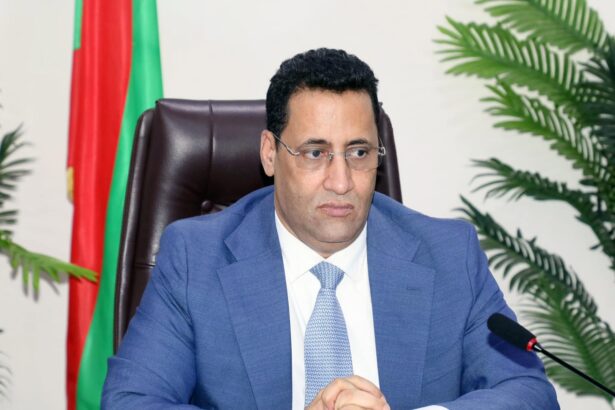 Mauritanie : après le rapport sur la Somelec, Ghazouani face à l’épreuve de responsabilité